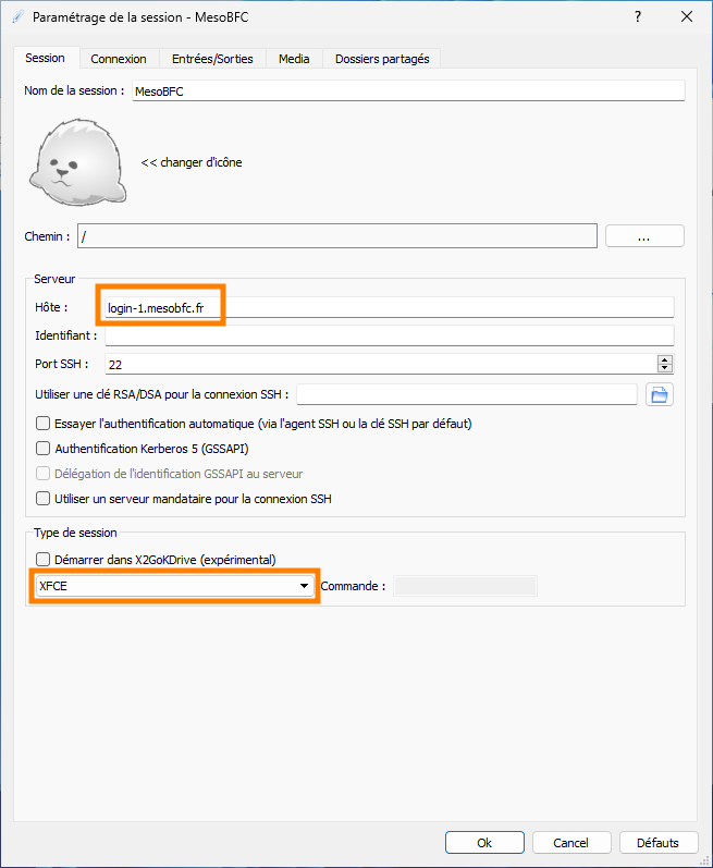 X2GO session settings